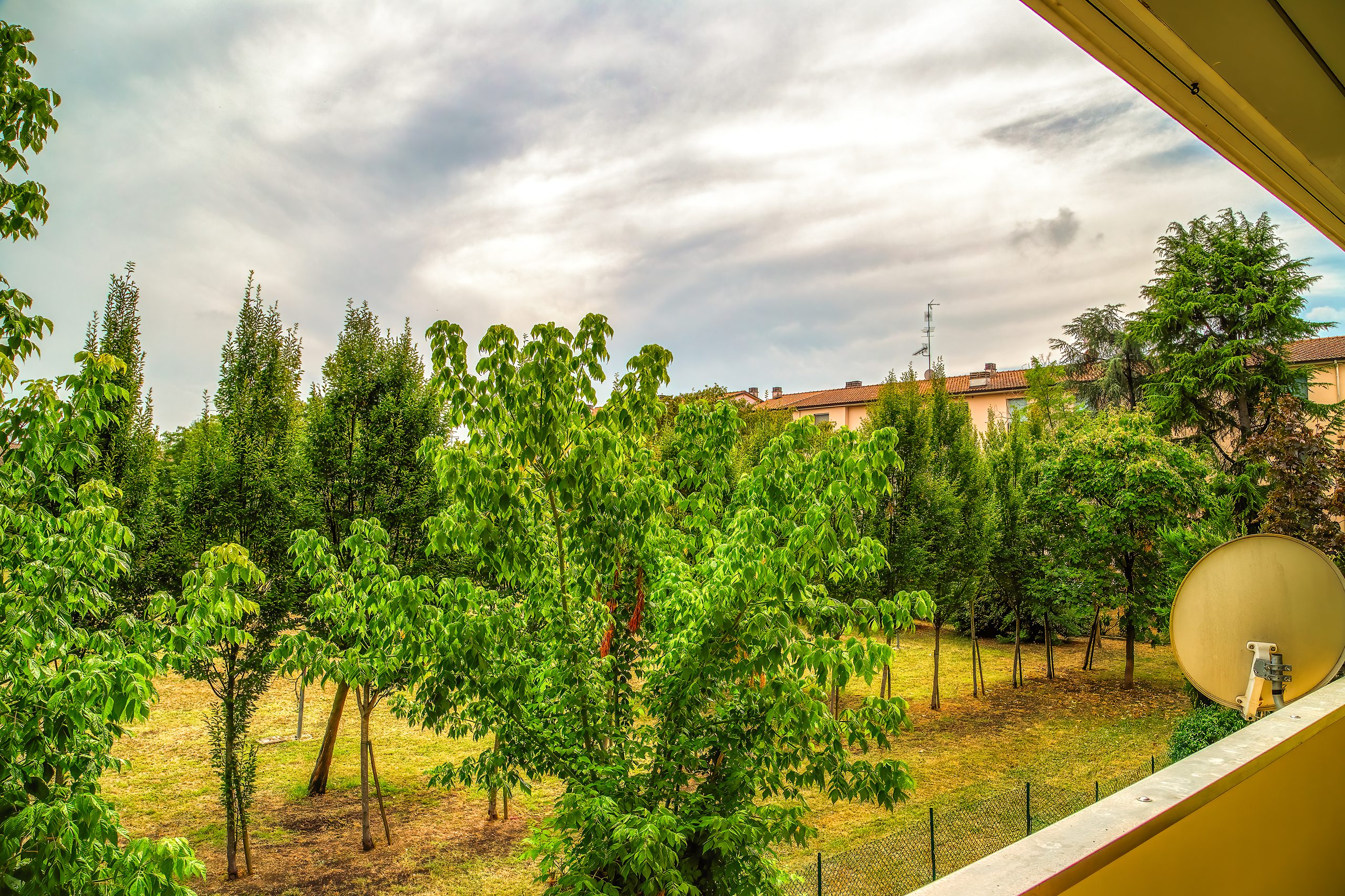 Il verde del parco che si apre davanti al balcone