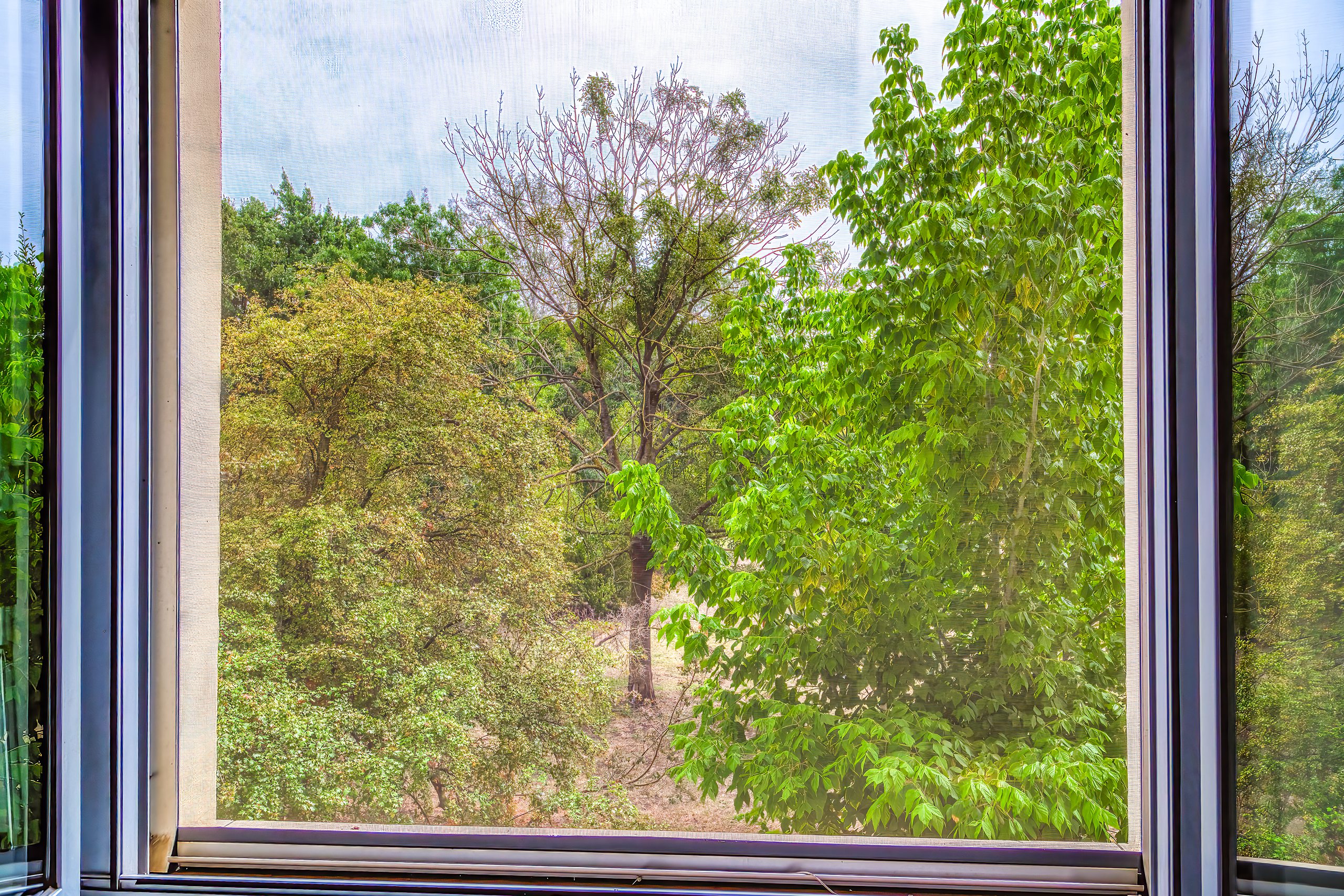 Vista sul verde dalla prima camera da letto