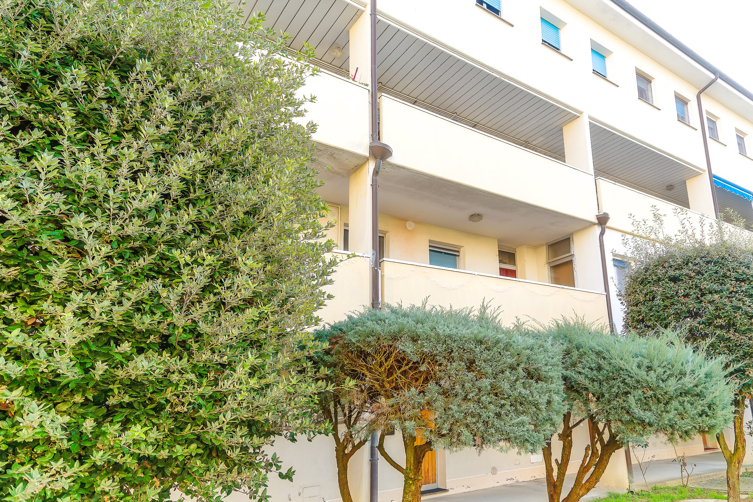 Il condominio di Piazzale Tiziano visto dall'esterno, tra gli alberi