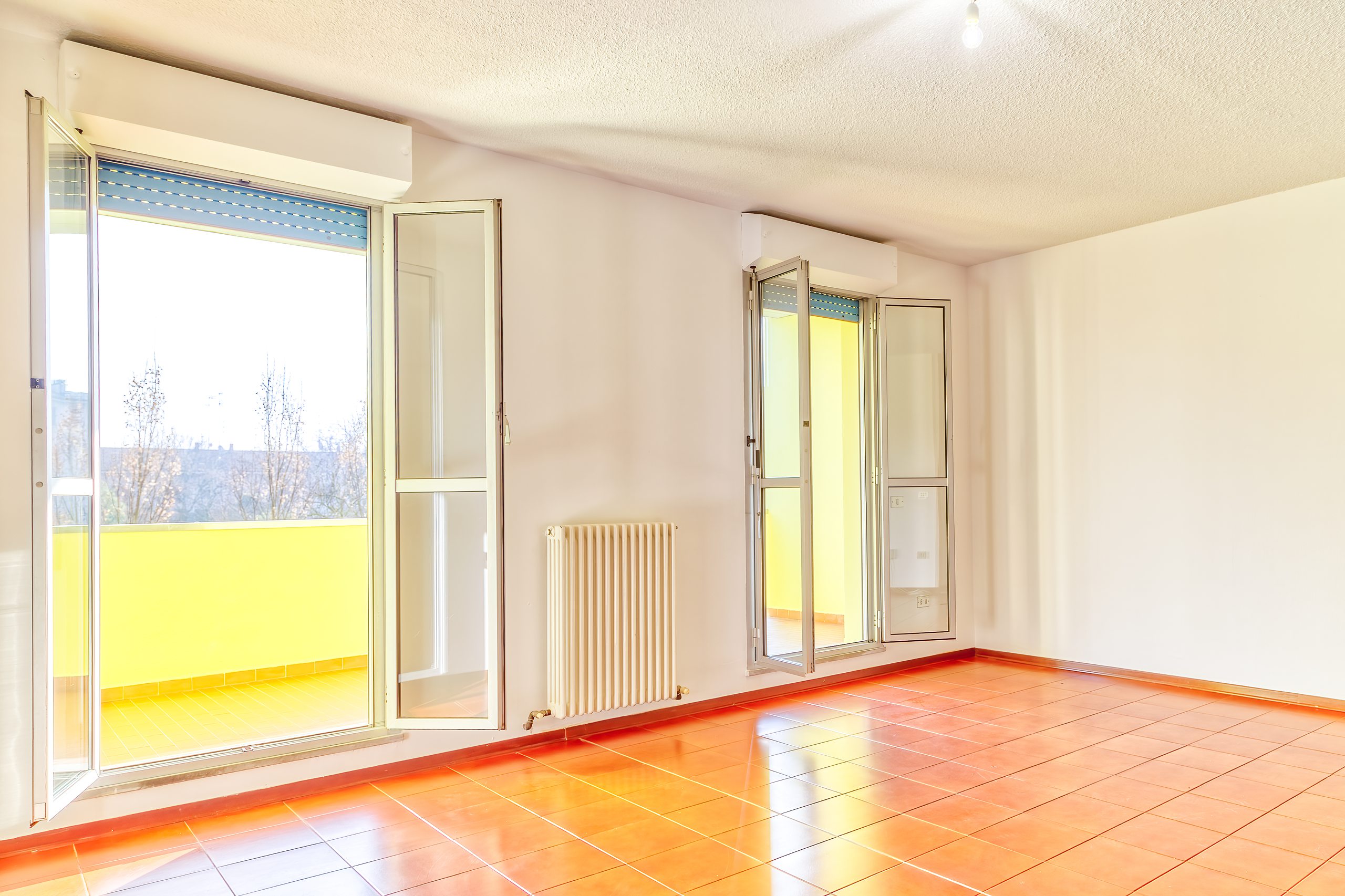 Dal salone si vedono gli alberi del parco oltre il balcone