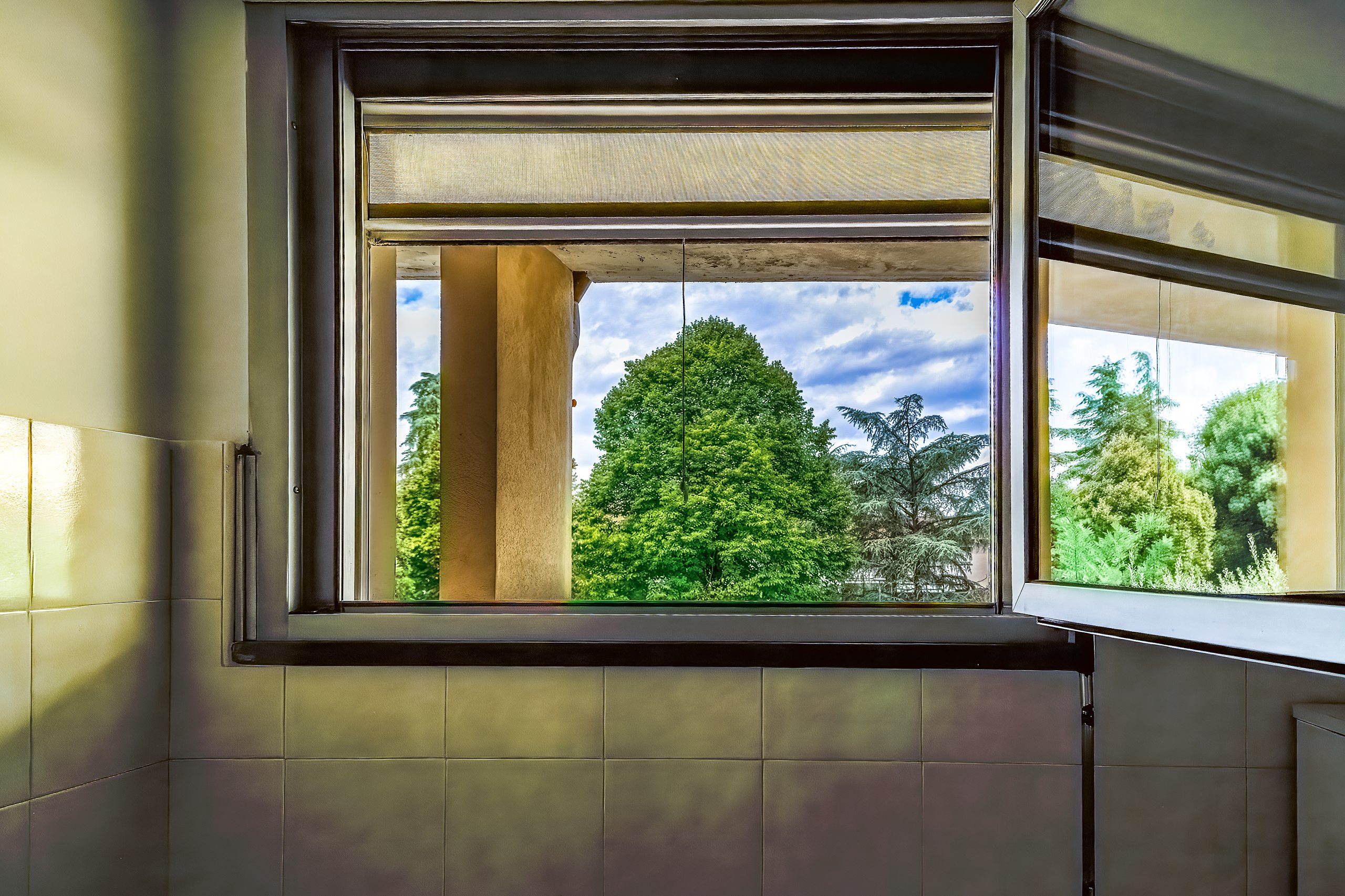 Il verde visto dalla finestra del bagno