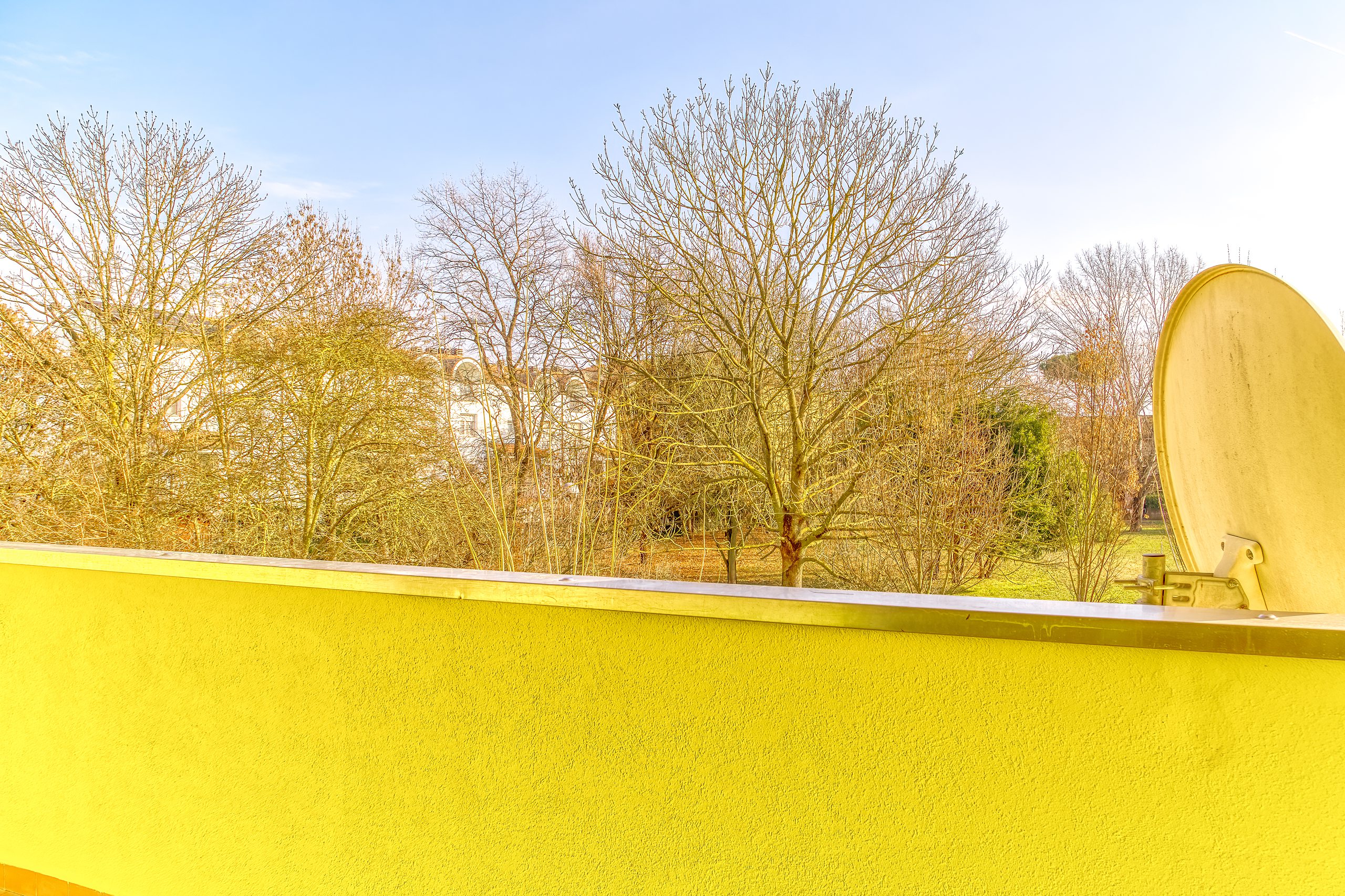 Gli alberi del Parco della Pace visti dal parapetto del balcone