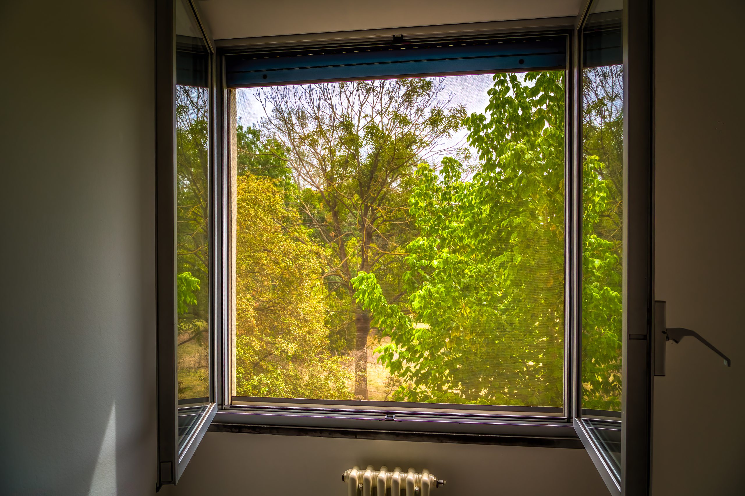 Il parco visto dalla finestra della prima camera da letto