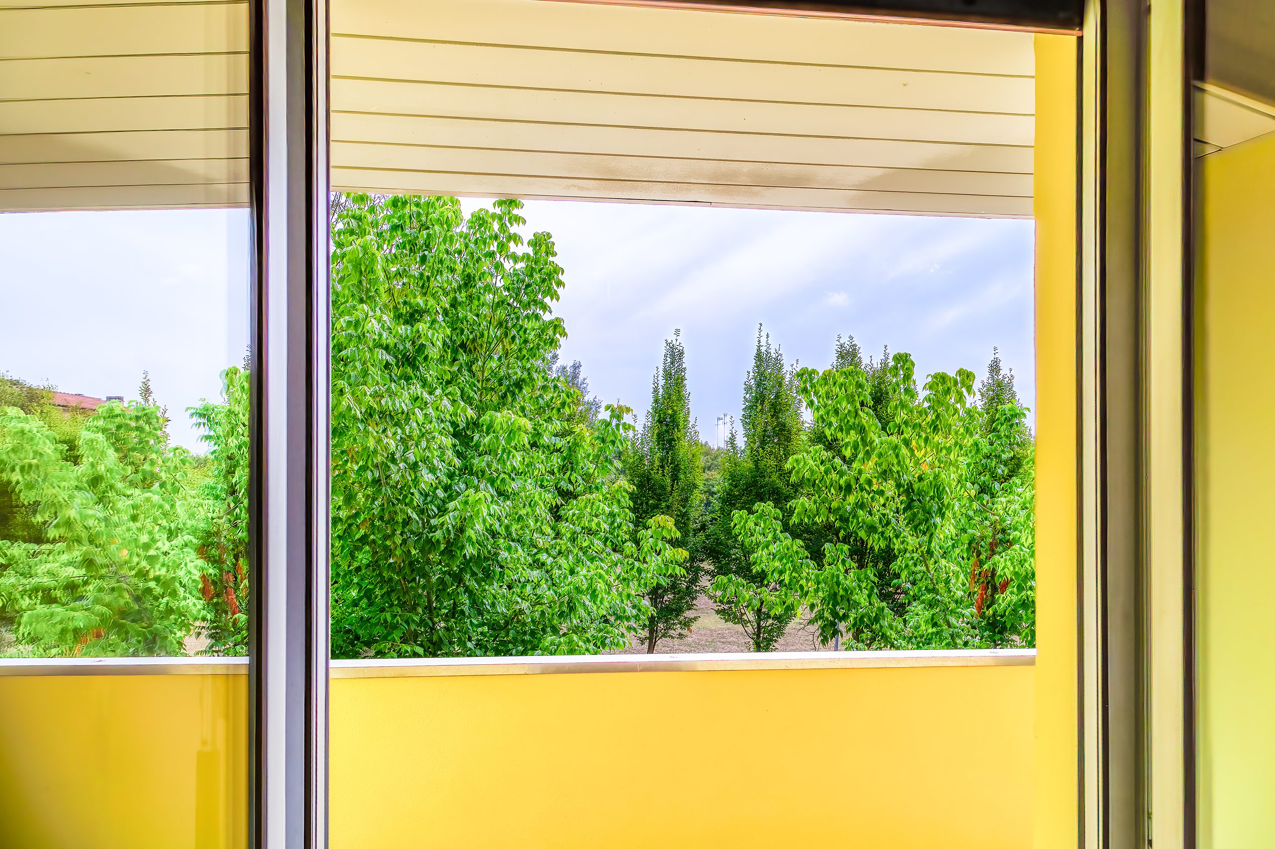 Il verde estivo inquadrato dalla porta-finestra del balcone